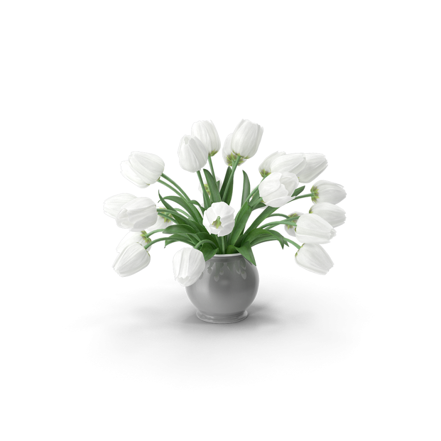 PLANTAS